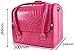 NEW Watermelon Pink Beauty Box Cosmetic Make Up Vanity Saloon Case