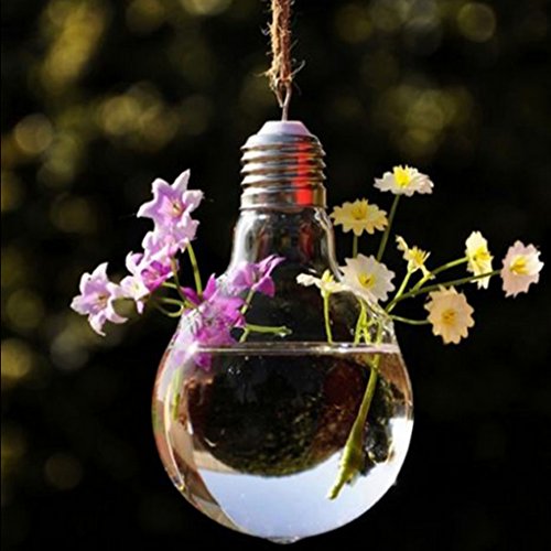 Gazechimp Klare Lampenglas Blühbirne – Glühbirnenvase Vase Flasche Für Pflanzenblumenschmuck - 6