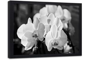 Feeby Wanddeko schwarzer Rahmen Orchideen Wandbild schwarz-weiß 40x30 cm