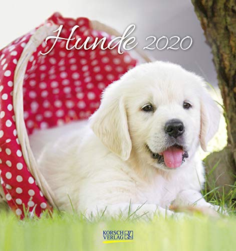 Hunde 2020: aufstellbarer Postkartenkalender