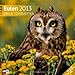 Eulen 2013 Art13 Collection: Broschürenkalender by