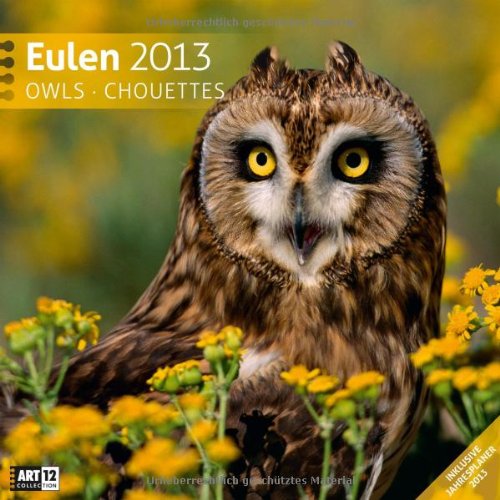 Eulen 2013 Art13 Collection: Broschürenkalender
