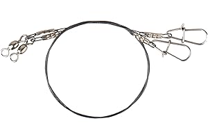 Savage Gear Titanium Spin Trace 1 x 7 35 cm 0,40 mm 15 kg 2 Bas de Ligne en Acier pour la pêche au brochet, Bas de Ligne en Titane