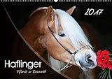 Haflinger-Pferde in Reinzucht (Wandkalender 2017 DIN A2 quer): Pferde aus purem Gold... (Monatskalender, 14 Seiten ) (CALVENDO Tiere) by 