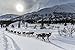 Produktbild Jeff Schultz/Design Pics – Noah Burmeister Runs up Hill After Leaving Puntilla Lake and The Rainy Pass Checkpoint During Iditarod 2016 Alaska. Kunstdruck (43,18 x 27,94 cm)