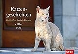Image de Katzengeschichten 2016