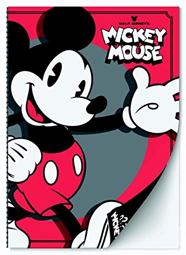 Preisvergleich Produktbild MICKEY MOUSE NOTEBOOKS A5 (SET, 2 DESIGNS) SET VAN 2 EX.