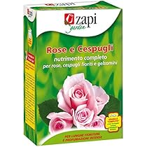 Concime Granulare Cifo Per Rose E Cespugli - 1 Kg, Per Fioriture Abbondanti E Prolungate - Foto 5