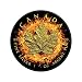 Produktbild Burning Maple Leaf C $5 Unzen Silber & Ruthenium & vergoldet medaille - Kanada 2016