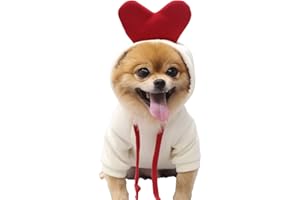 XIAOYU Puppy Dog Hoodie Cats Hoodies Pet Clothes Stylish Fruit Sweatershirt for Dog Cat Small Medium Pets, Love, XL