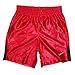 Nike Boys Dri-Fit Mesh Sport Shorts Size 4 Red