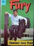 Cover zum Buch Fury: Geier im Tal