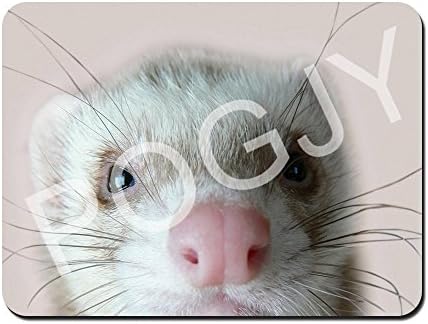 POGJY Mouse Pad Gaming 9.25 x 7.75 Inches, Premium-Textured Surface, Non-slip Rubber Base, Laser &amp; Optical Mouse Compatible, Mouse mat - cute ferret image 192