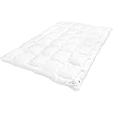 DecoKing Couette Couette 220x240 cm Toute l'année hypoallergénique antiallergique Couverture 100% Microfibre Öko Tex Standard