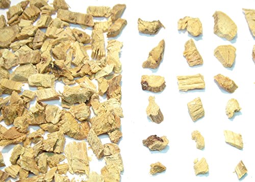 SAFLAX – Kräuter – Süßholz / Lakritze – 30 Samen – Mit Substrat – Glycyrrhiza glabra - 5