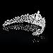 Wedding Bridal/Bridesmaid Floral Rhinestone Tiara Crown 11.42"