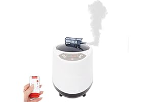 FUTCHOY Mini générateur de vapeur pour sauna - Avec minuteur - Pour sauna, sauna, sauna, 3 l, 1 kW