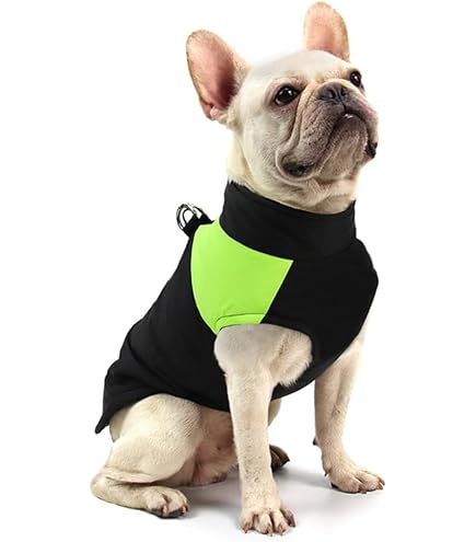 Ectkuee Waterdichte hondenjas warm gevoerd donsje huisdier hond puppy kleding vest (roze, S