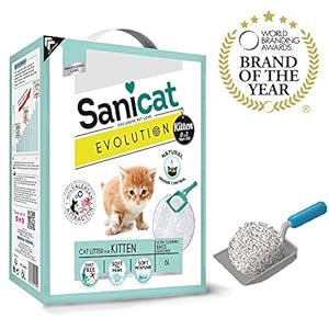 SANICAT Evolution Kitten, Arena de Gato Aglomerante – 6L