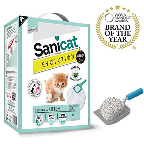 SANICAT Evolution Kitten, Arena de Gato Aglomerante - 6L