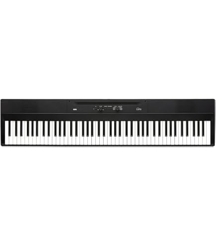CASIO Privia PX-130 88鍵盤 プリヴィア 電子ピアノ Casio Privia PX-130 88-Key Digital Stage Piano : Amazon.in