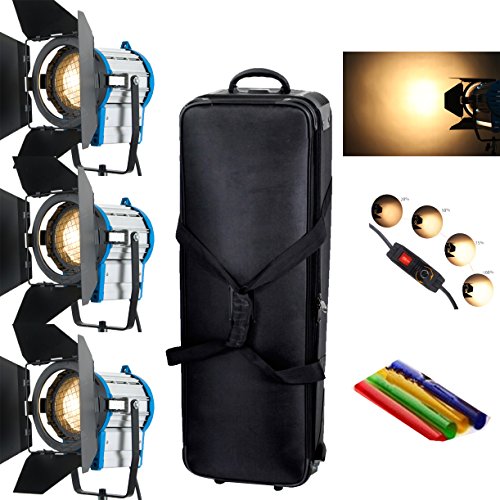 HWAMART® 3×1000W Lighting Fresnel Tungsten Spot light Video Bulb+Barndoor+fly case+bag
