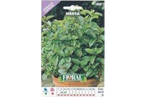 L'ORTOLANO Sementi di piante aromatiche e officinali in bustina ad uso amatoriale (MENTA)