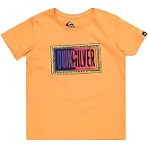 Quiksilver DAY TRIPPER SS BOY Tiş&ouml;rt Erkek &ccedil;ocuk