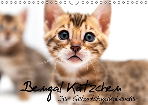 Bengal Kätzchen - Der Geburtstagskalender (Wandkalender 2018 DIN A4 quer): Geburtstagskalender mit Bengalkitten über das gesamte Jahr ... 14, 2017] Enderlein - Bethari Bengals, Sylke