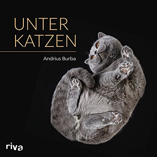 Download Unter Katzen