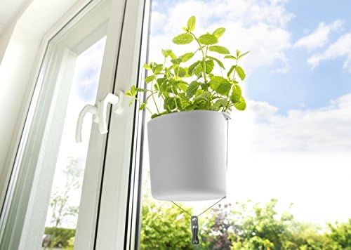 Herbs 'Reloaded' pflanzleiter Plants Leiter Herbs Pot Flowerpot Herb Garden Pot Hanging Herb Basket
