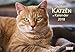 Produktbild DuMonts Katzenkalender 2018 - Broschürenkalender - Wandkalender - mit Schulferienterminen - Format 42 x 29 cm: mit kurzweiligen Katzengeschichten