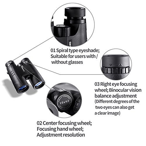 BEBANG Prismáticos Profesionales, Compactos 10x42. Es la Mejor Opción para la Observación de Aves, Escalada en Roca, Viajes, Conciertos, etc., Adecuado para Deportes y Actividades al Aire Libre.