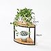 Produktbild Massivholzboden Blumenständer Wohnzimmer Balkon Treppe Europäische Mehrgeschossige Blumentopf Rack Winkel Rack ( größe : 30*30*38cm )