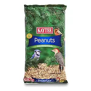 Kaytee Peanuts for Wild Birds, 10-Pound