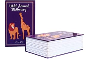 CURRENTIZ Coffre-Fort en Livre - Verrou À Combinaison, Coffre-Fort Portable, pour Stocker l'argent, des Bijoux Et Un Passeport