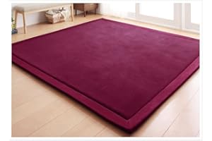 CASTLYE Kinderteppich Korallensamtteppich Teppiche Fürs Kinderzimmer Matten Teppich Anti Rutsch Unterlage Teppich Wohnzimmer, Traubenrot, 150x200cm