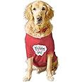 Ruse Basic Crew Neck Birthday Girl Printed Half Sleeves/Apparel/Clothes/T-Shirt Gift for Dogs.Colour-Poppy Red/Medium (Chubby Pugs, Beagle etc.)