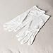 Jasmine Silk Ultmate Pure Silk Moisturising Gloves