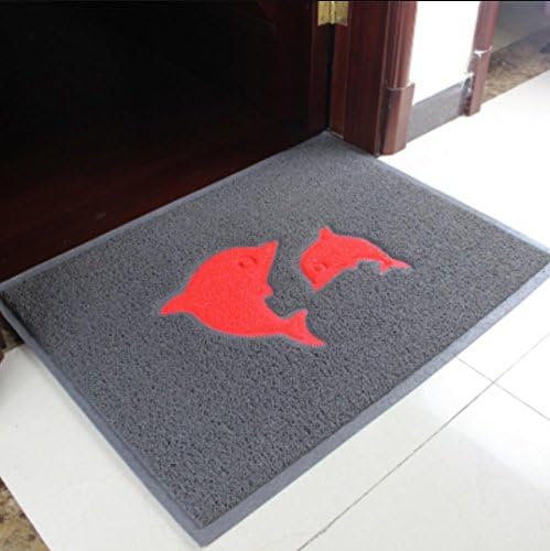 HSheng® Door mat thick anti - skid mattresses to the door Dusting mats drawing red carpet elevator door Welcome Welcome pad , 2