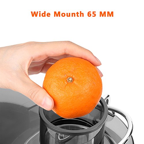 Homdox Entsafter Edelstahl Juicer Extractor Elektrisch Automatisch, 2 Geschwindigkeiten, für Obst und Gemüse mit Saftbehälter, 350 Watt - 4
