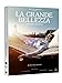 La Grande Bellezza  (Versione Integrale) [Italia] [DVD]