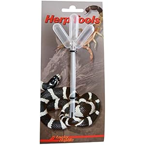 Lucky Reptile PP-3 Plastikpipetten, 3 Stück