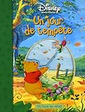Winnie l'Ourson : Un jour de tempête
