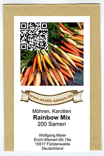 Möhre – Karotte – Rainbow Mix – 200 Samen - 2