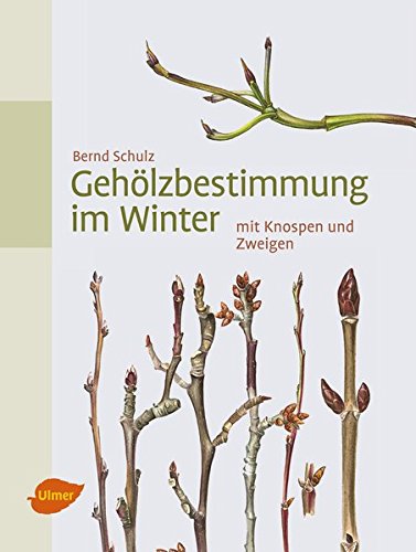 Download Gehölzbestimmung im Winter: mit Knospen und Zweigen