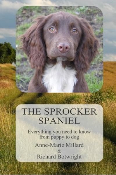 sprocker breed