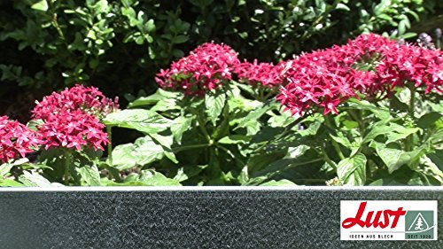 Rasenkante, Beetkante SET 8 x 118 x 20 cm - 9