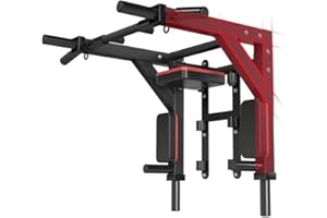 HAKENO Multifunktionelle Klimmzugstange für die Wandmontage Dip Station 2 in1 Pull Up Bar Wand Belastbarkeit bis 500kg