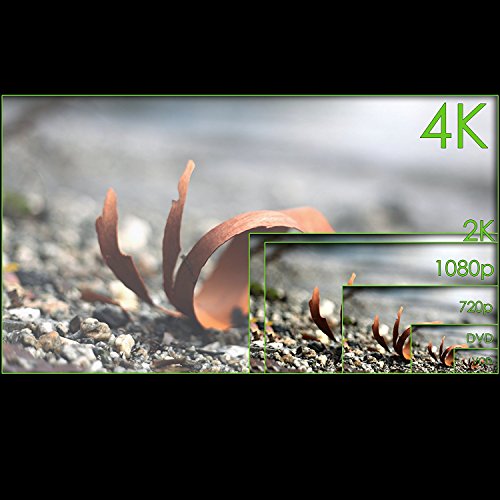 CSL â€“ 2,0 m Cavo HDMI Micro HDMI D a HDMI A | Cavo placcato in oro (High Speed) HQ Micro HDMI 2.0 con supporto TRUE 3D e Ethernet | Full HD / HD Ready / 3D | 1080p / 2160p / 4K (Ultra HD)